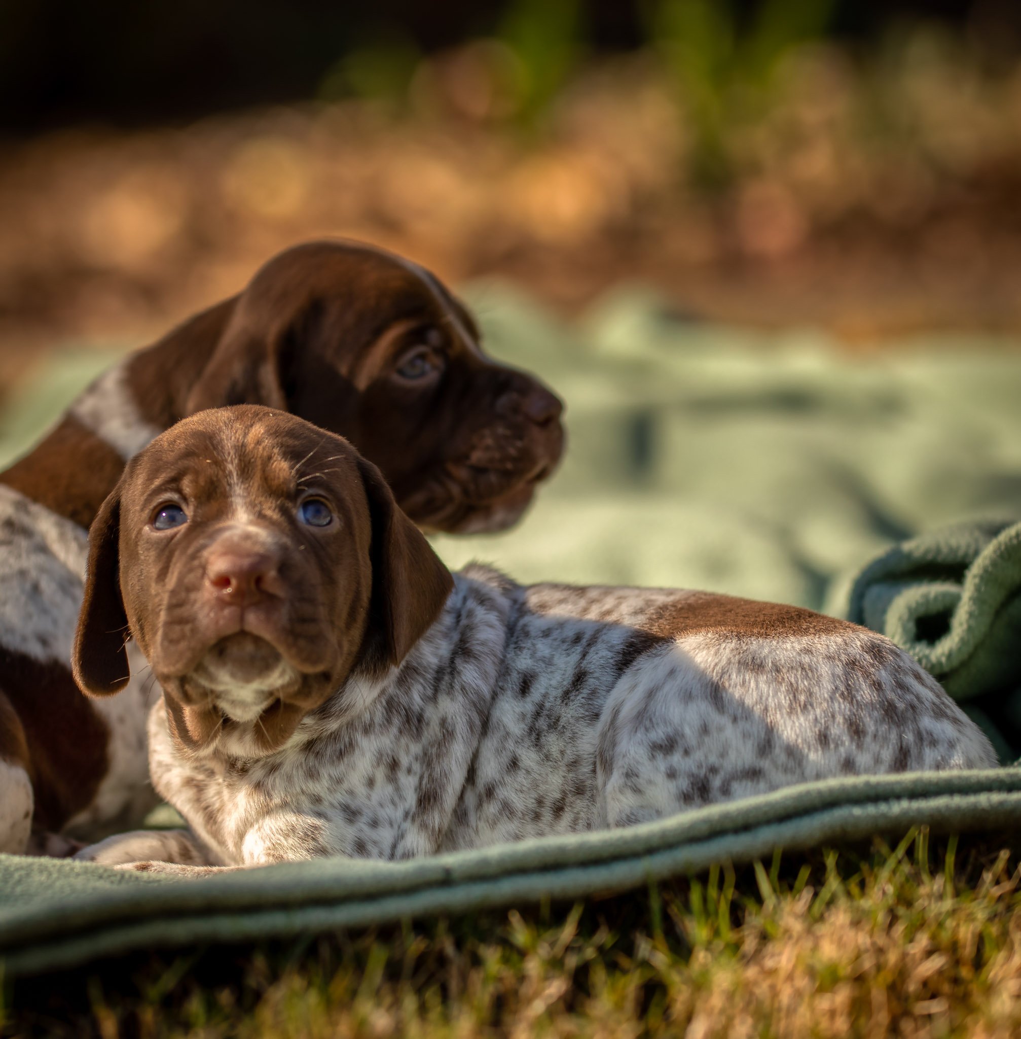 _W0A9753_AuroraHDR2019-edit.jpg