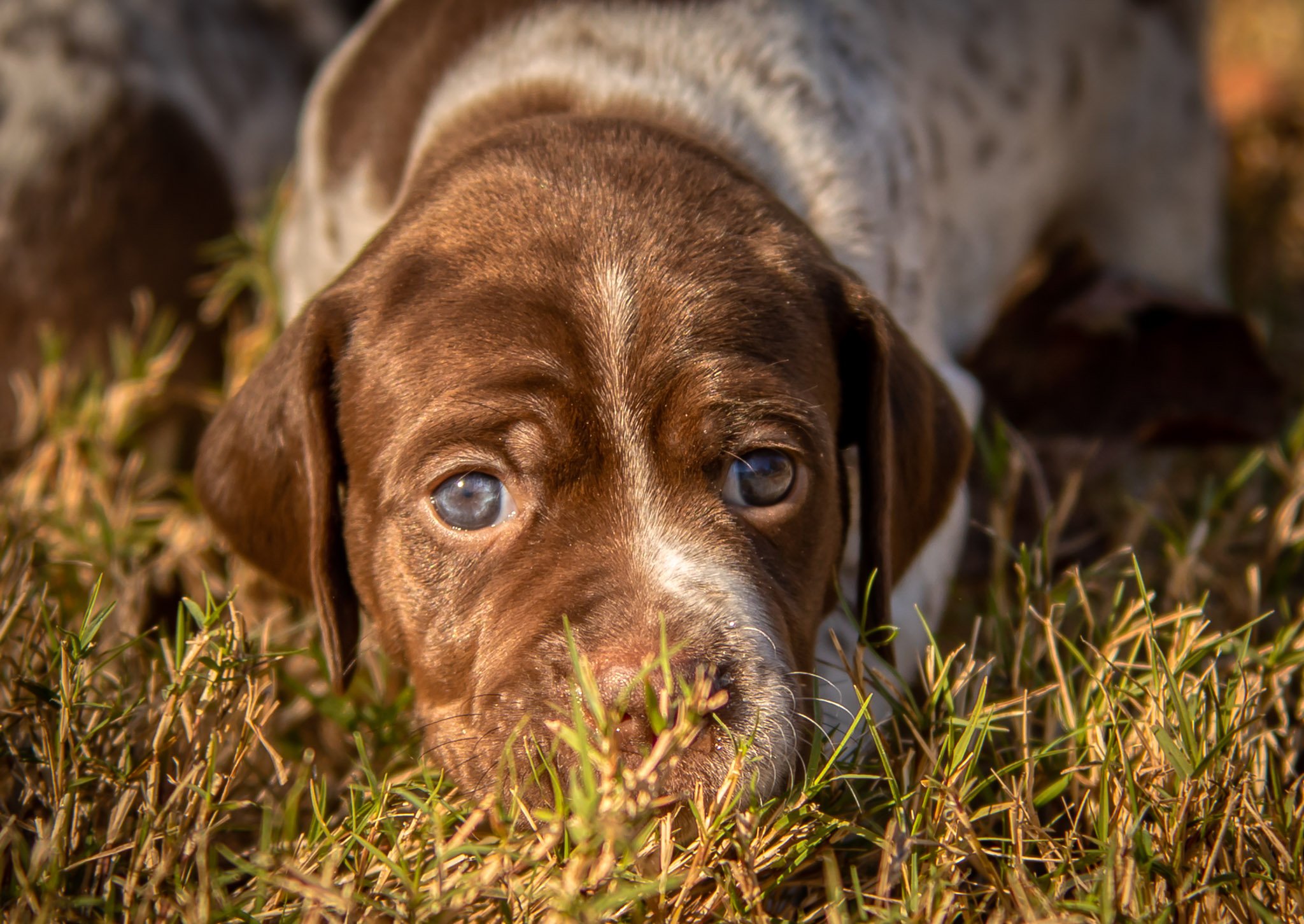 _W0A9788_AuroraHDR2019-edit.jpg