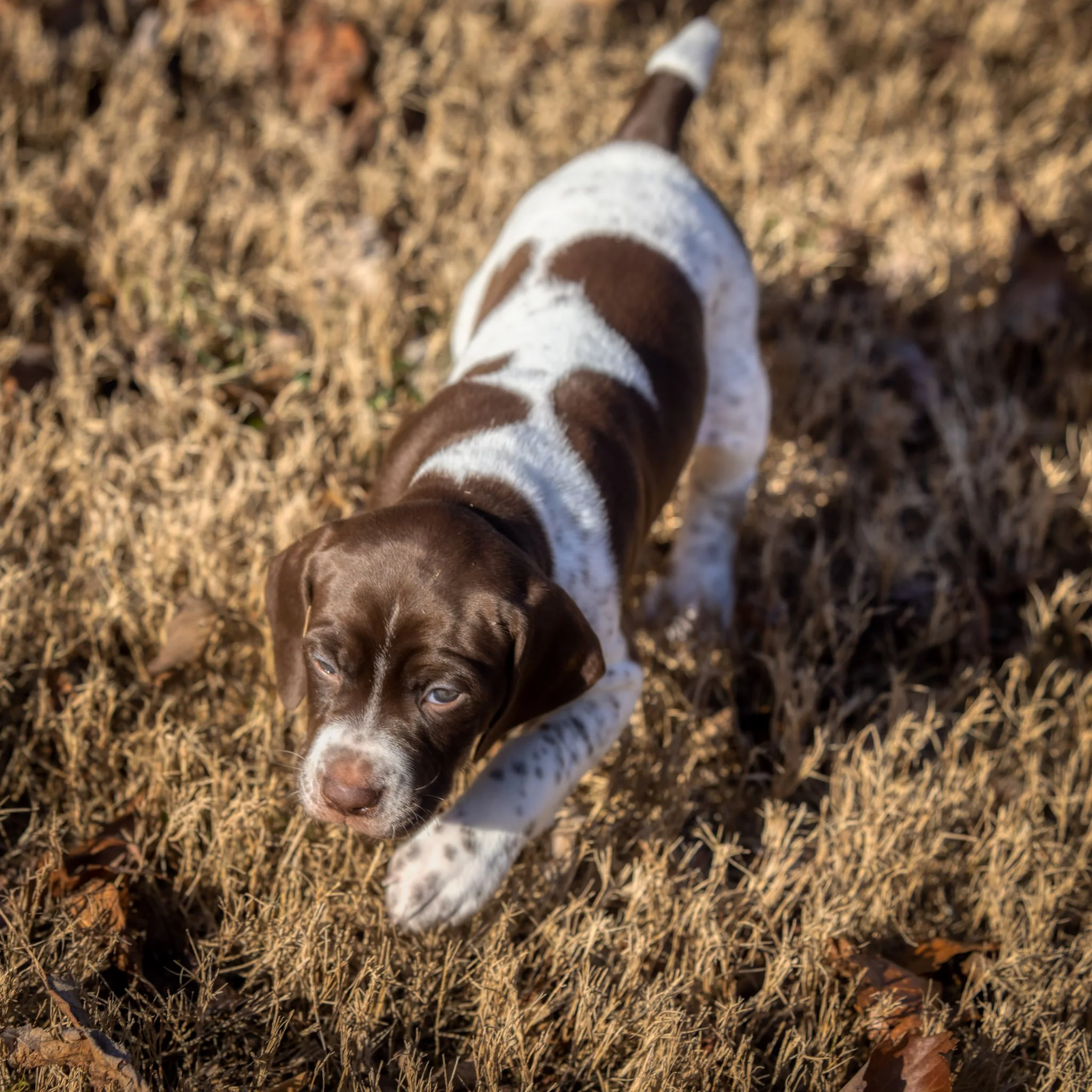 20220119-_F3A0556_AuroraHDR2019-edit.jpg