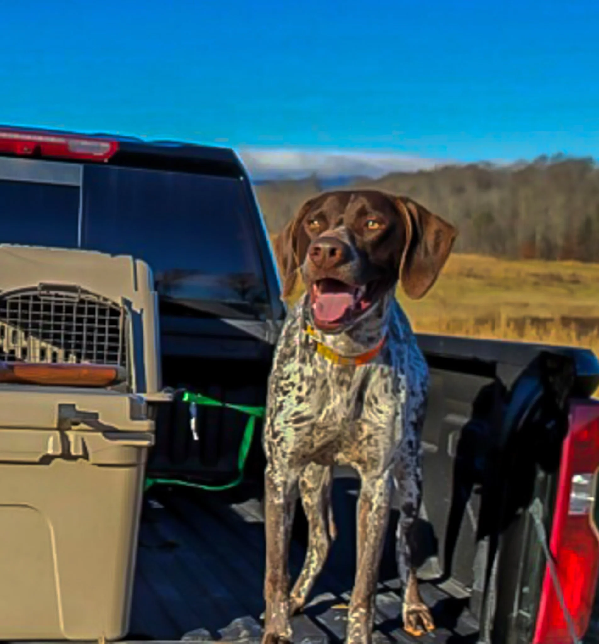 imagejpeg_0 3_AuroraHDR2019-edit.jpg