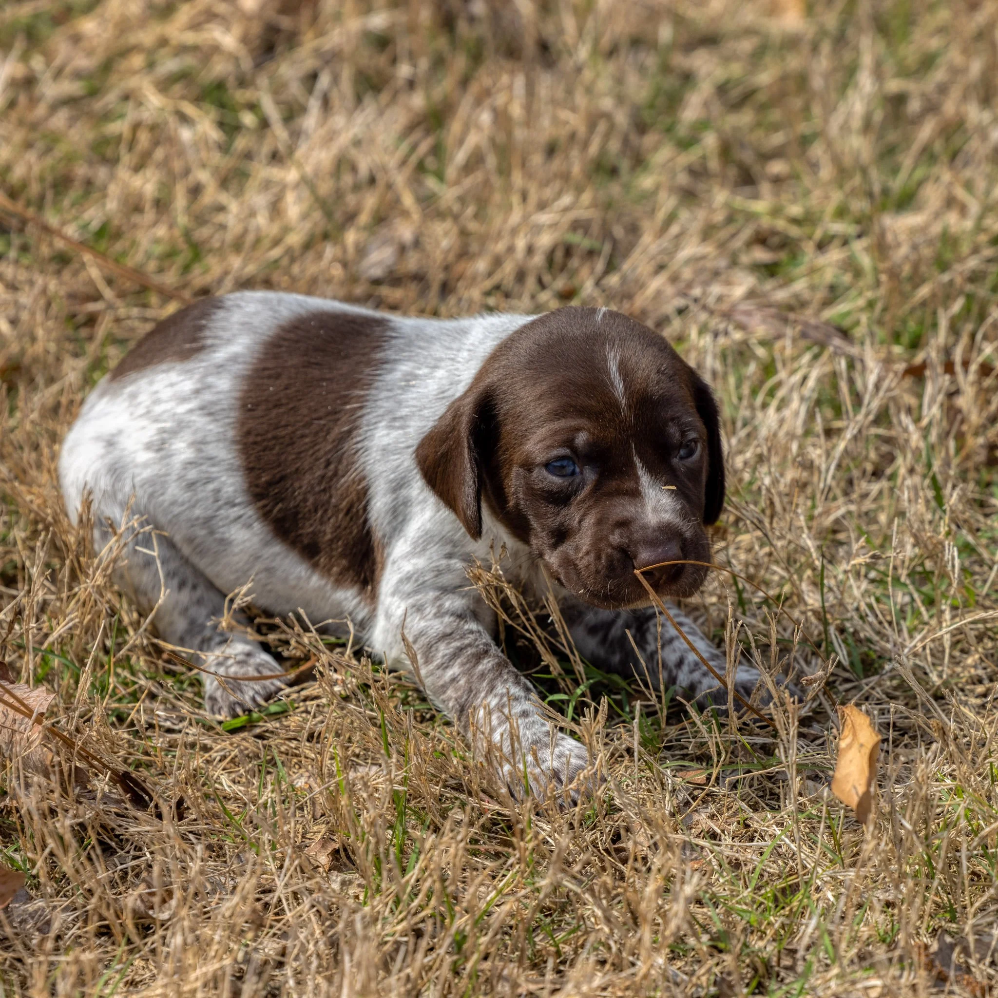 20220404-_F3A0580_AuroraHDR2019-edit.jpg