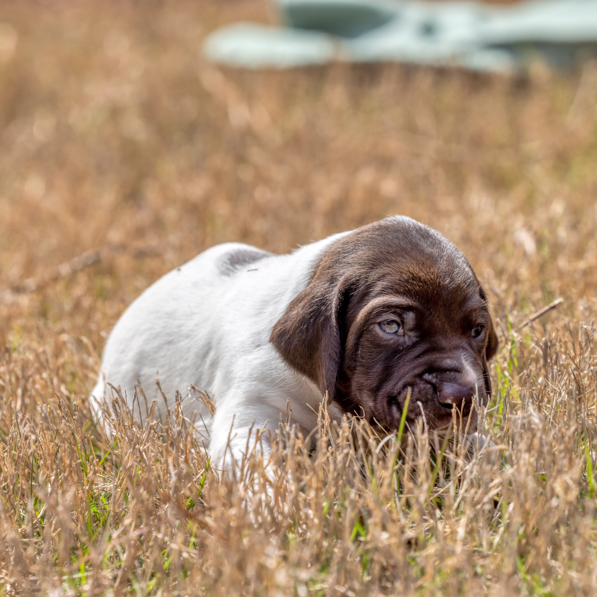 20220404-_F3A0073_AuroraHDR2019-edit.jpg