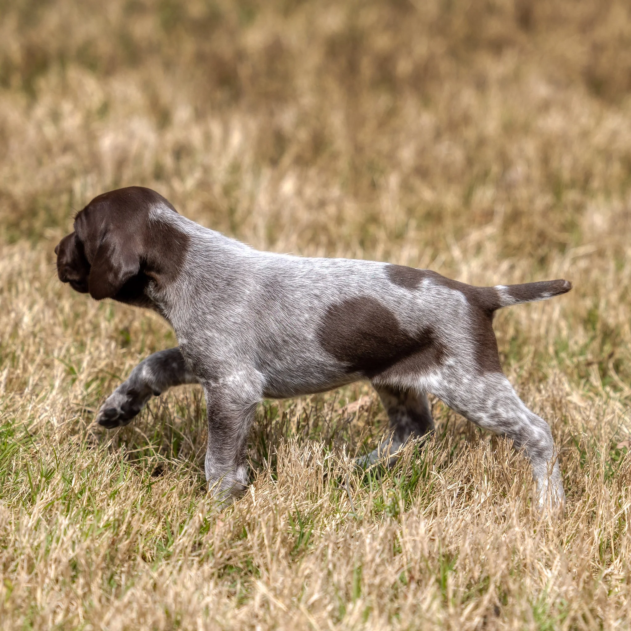 20220411-_F3A0947_AuroraHDR2019-edit.jpg
