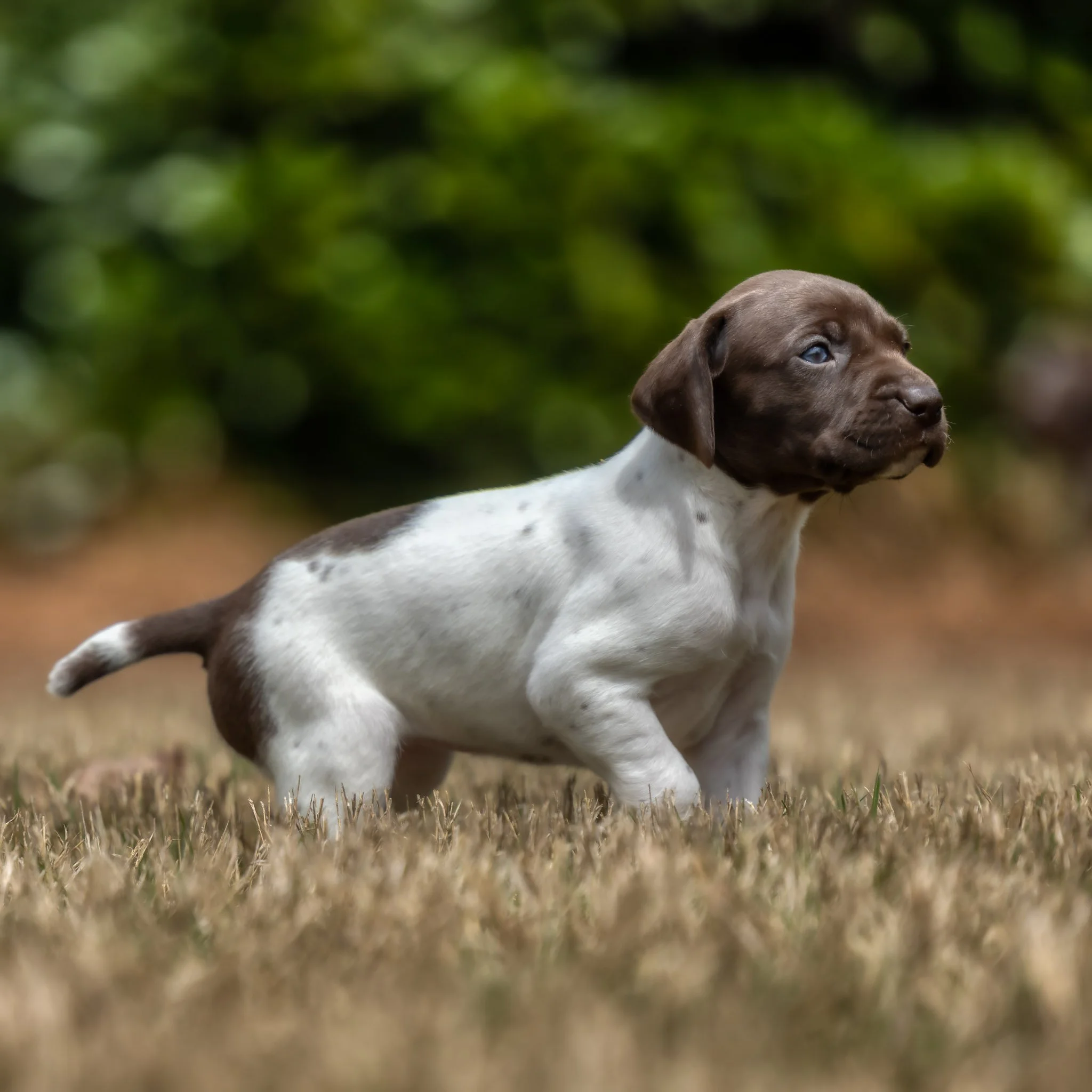 20220411-_F3A0990_AuroraHDR2019-edit.jpg