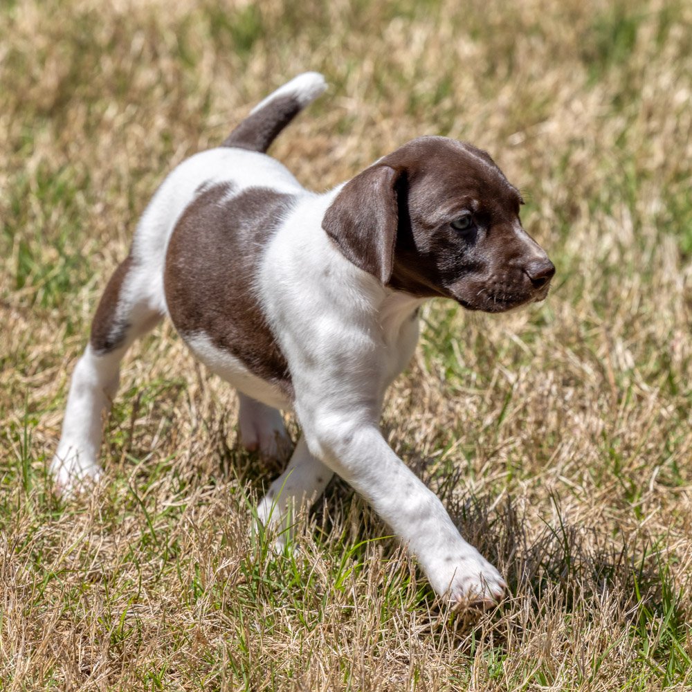 20220420-_F3A0166_AuroraHDR2019-edit.jpg