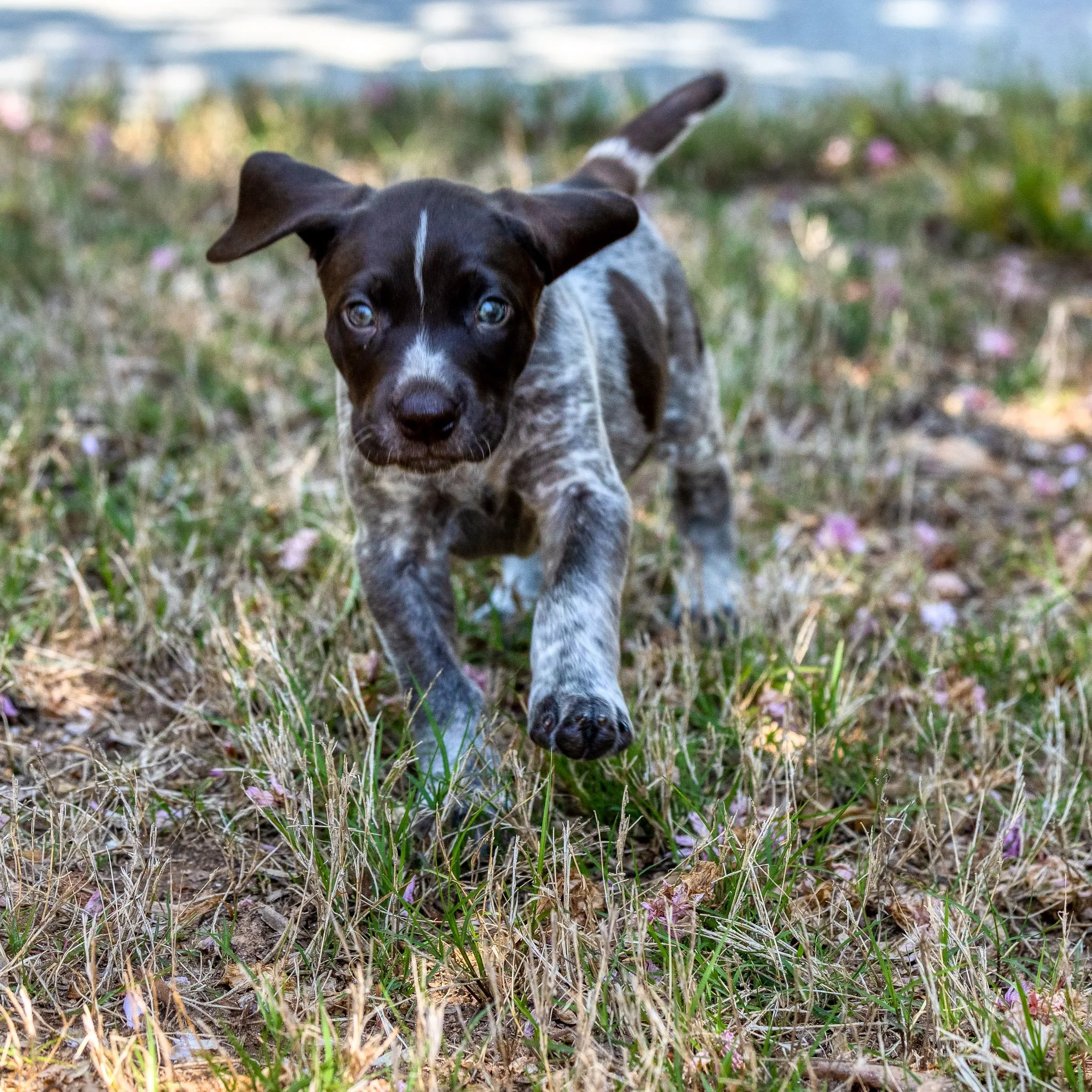 20220423-_F3A0463_AuroraHDR2019-edit.jpg