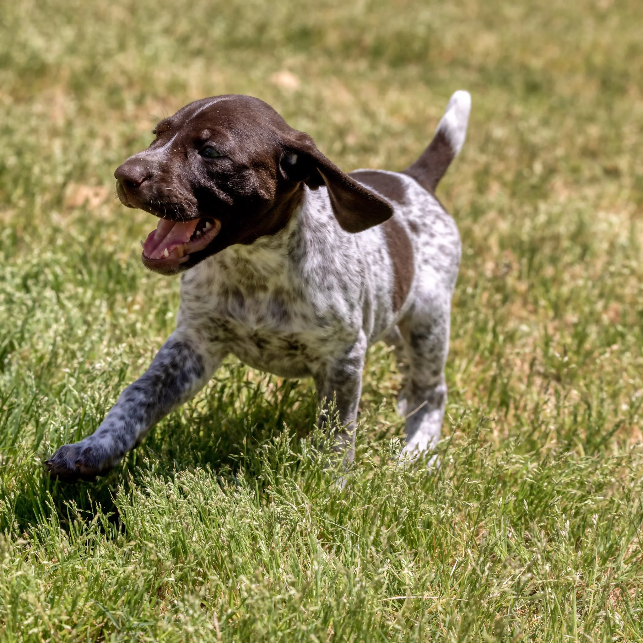 20220424-_F3A0607_AuroraHDR2019-edit.jpg