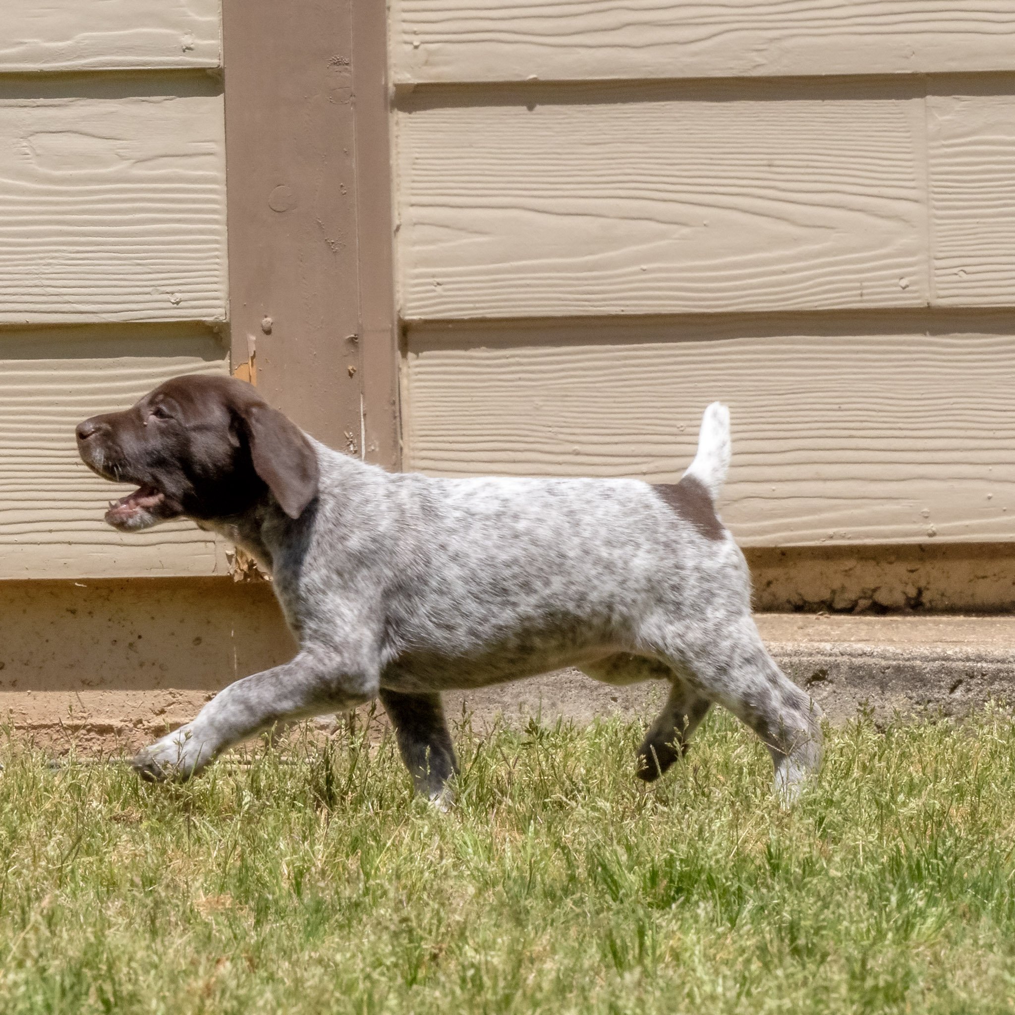 20220424-_F3A0704_AuroraHDR2019-edit.jpg