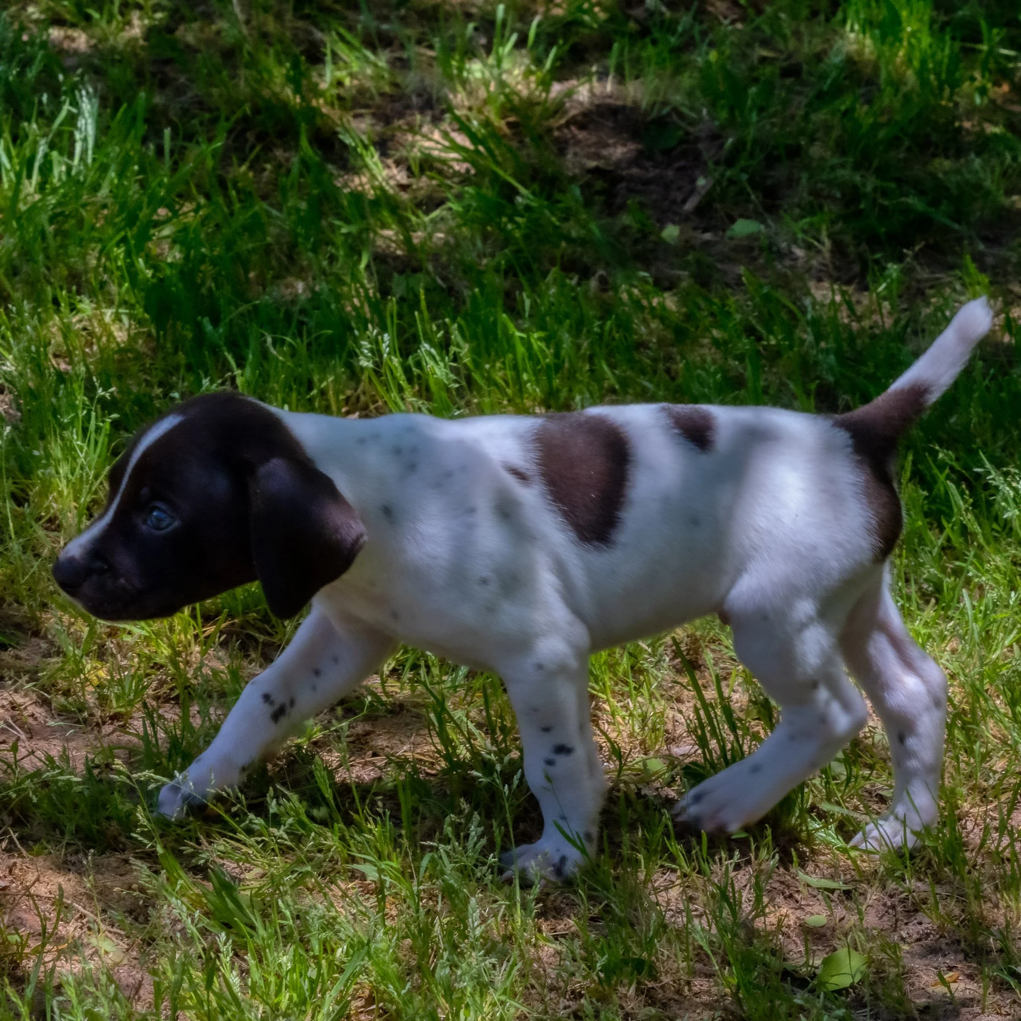 20220424-_F3A0645_AuroraHDR2019-edit.jpg
