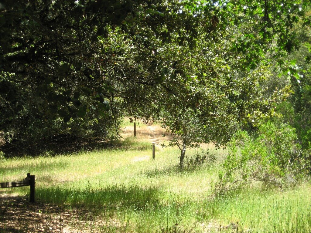 running trails menlo park.jpg