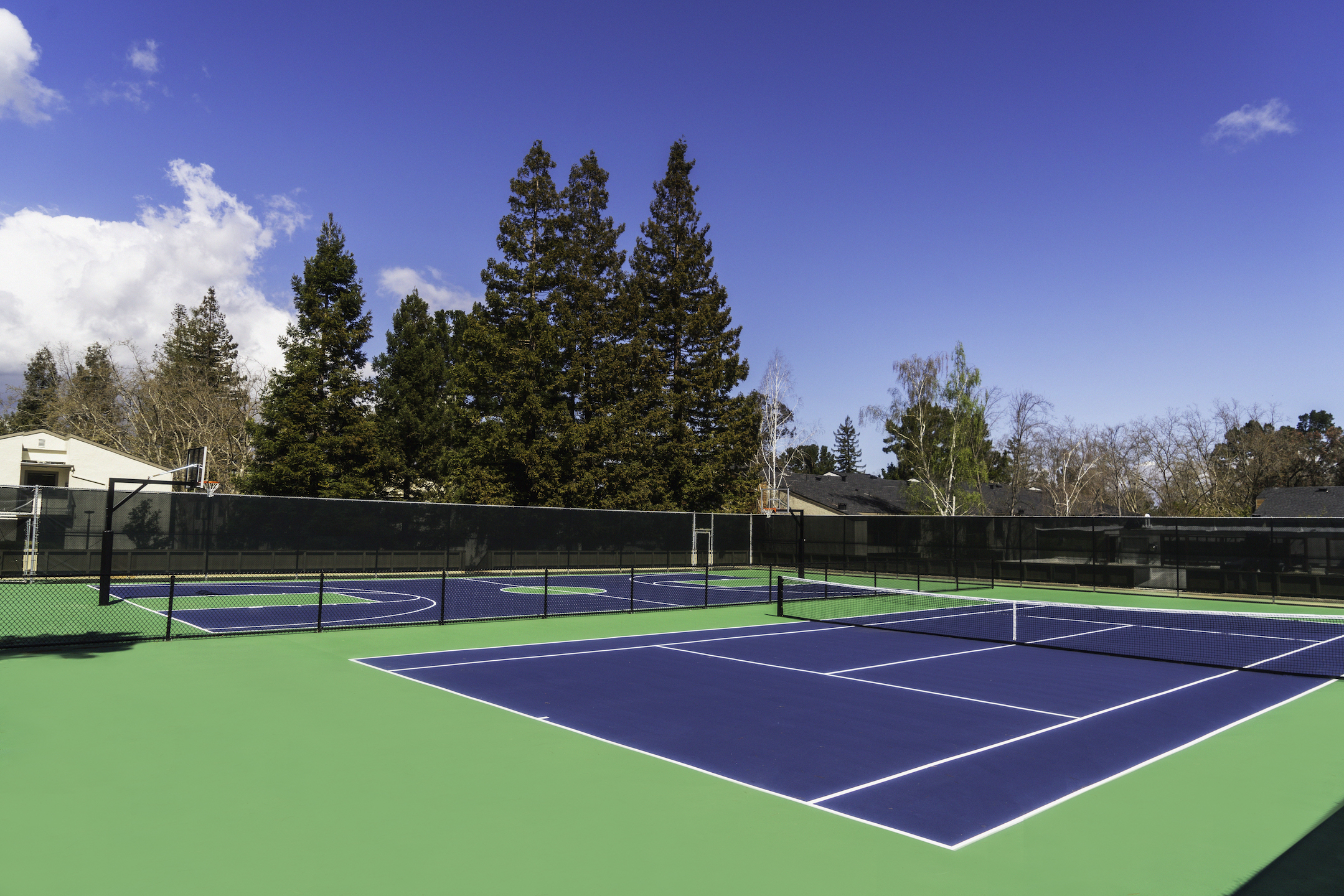 Sharon Green Menlo Park_Brand New Sport Court_Basketball and Tennis Courts copy.jpg