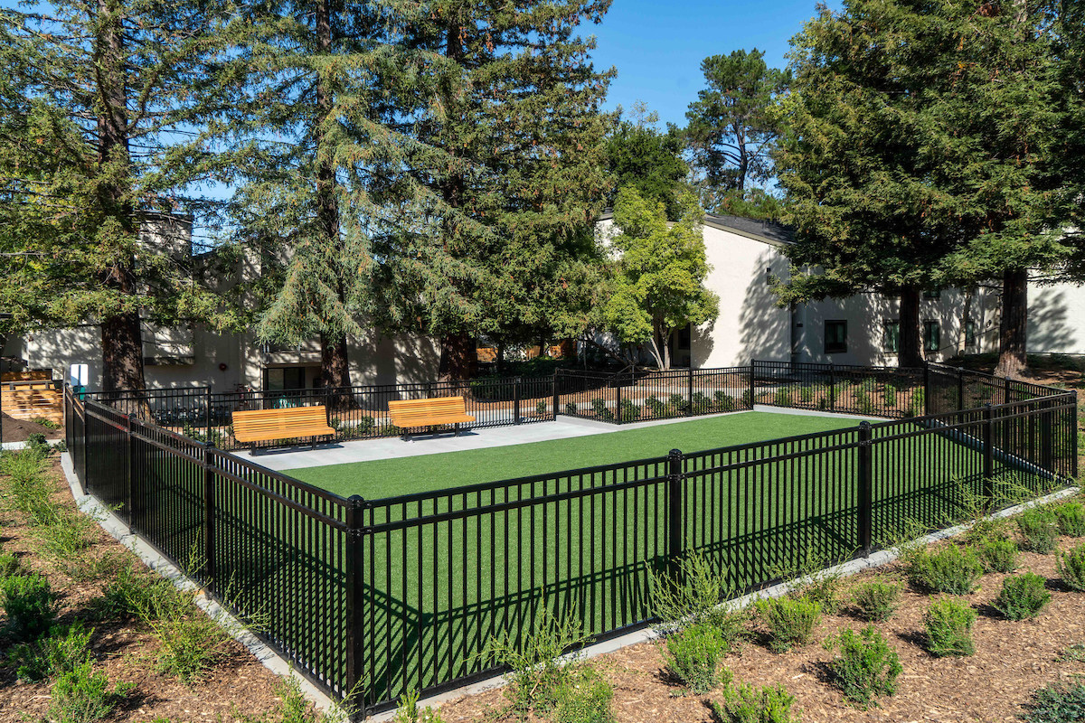Sharon Green_190828_163347_Dog Area Dog Park.jpg