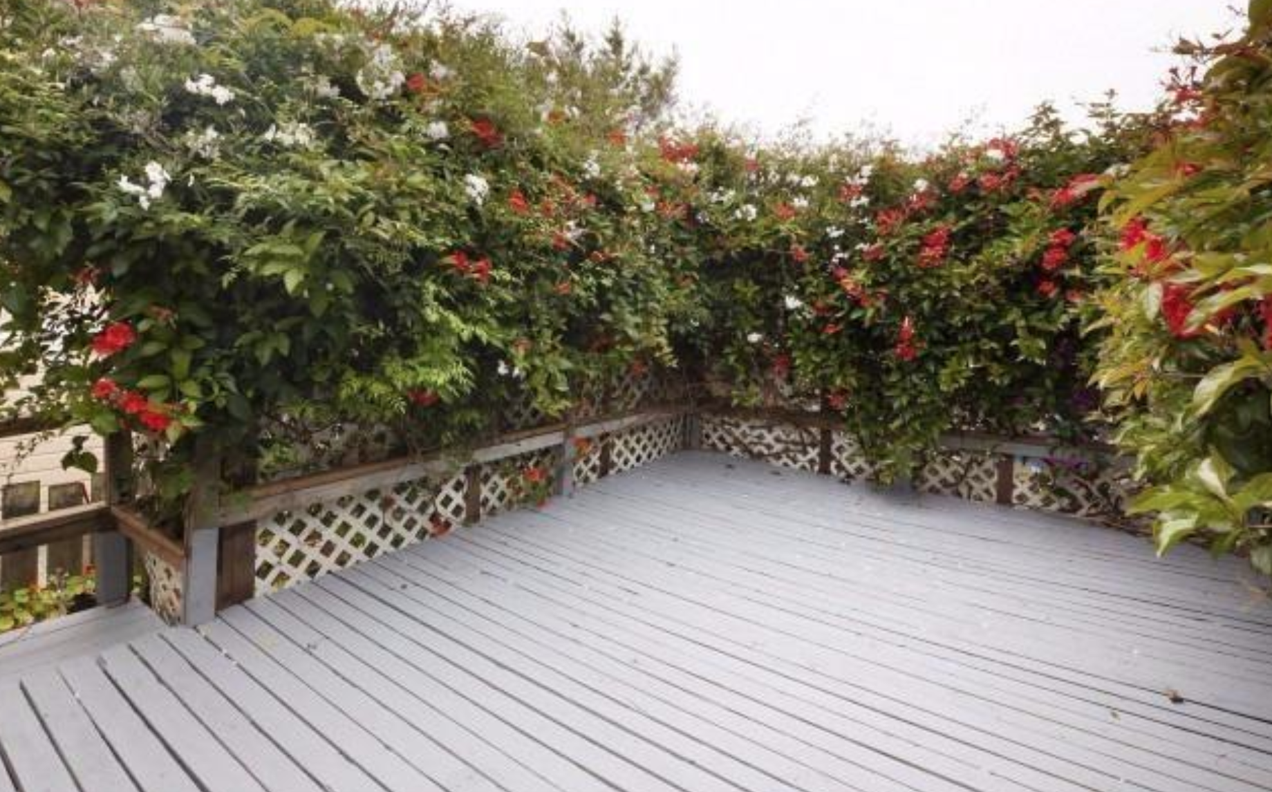 Screen Shot 2018-02-11 at 2.12.46 PM.png