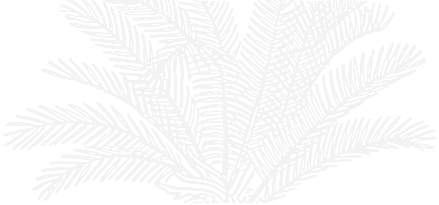 Palm_bg.png