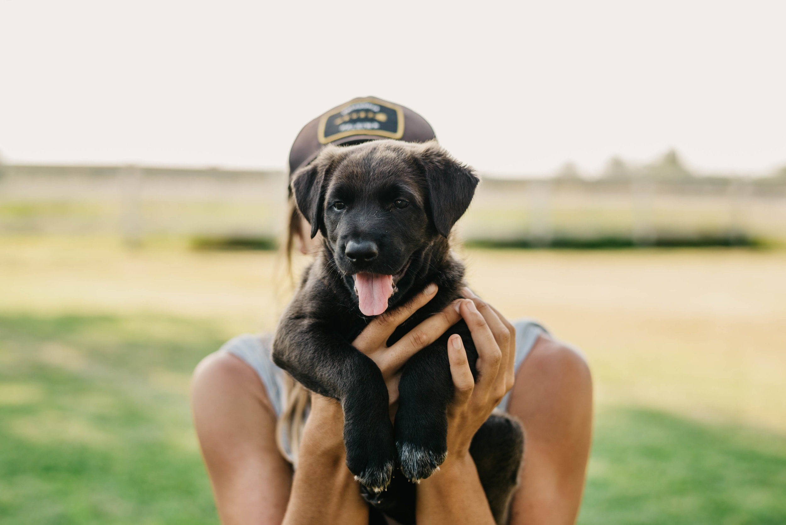 hearts for paws rescue