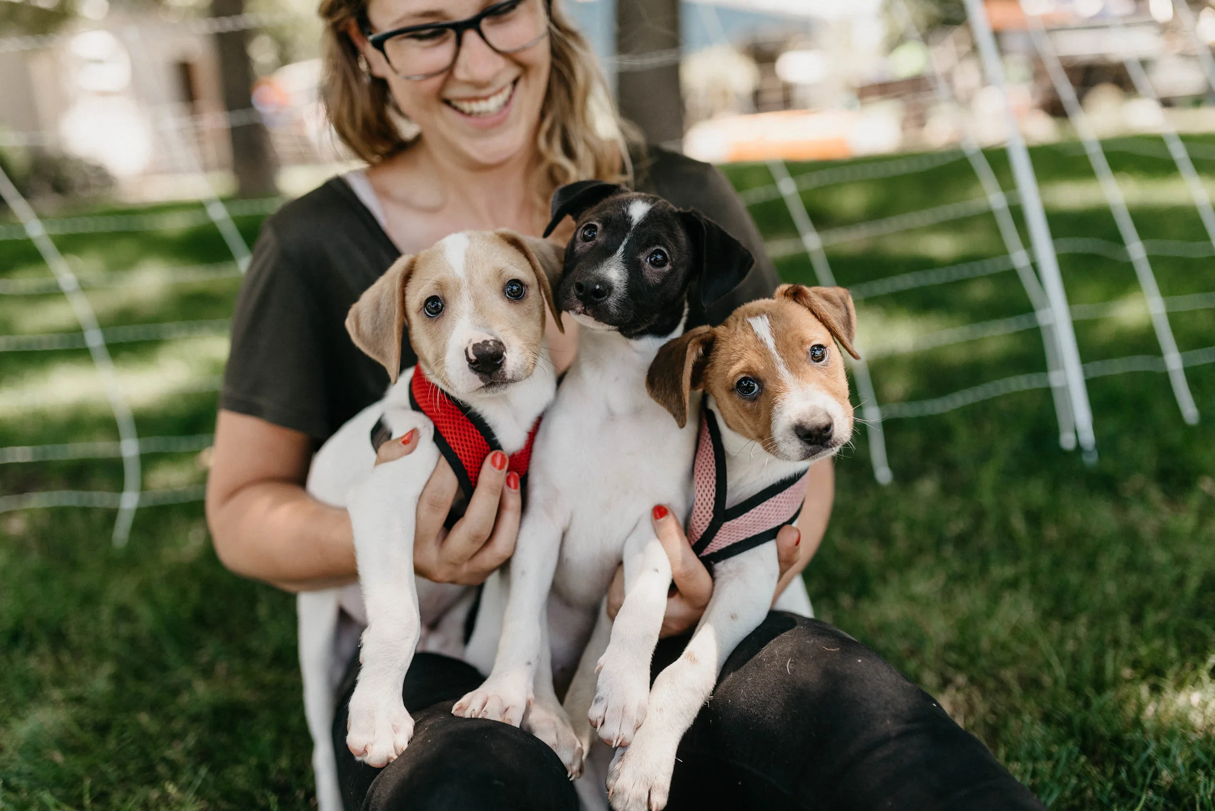 Hearts for Paws Rescue