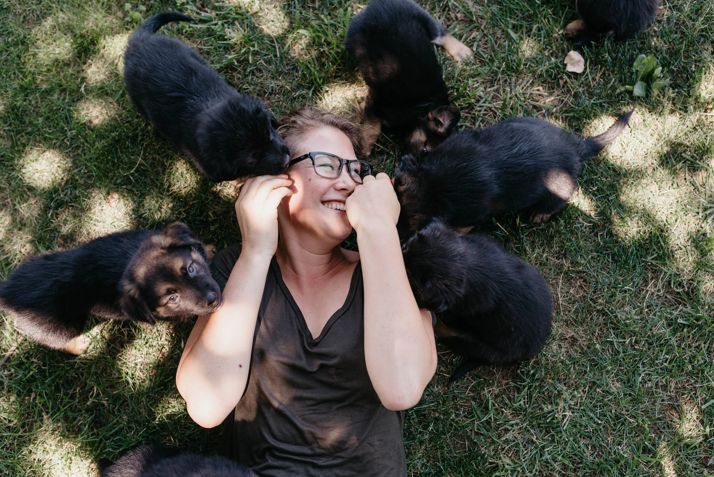 hearts for paws rescue