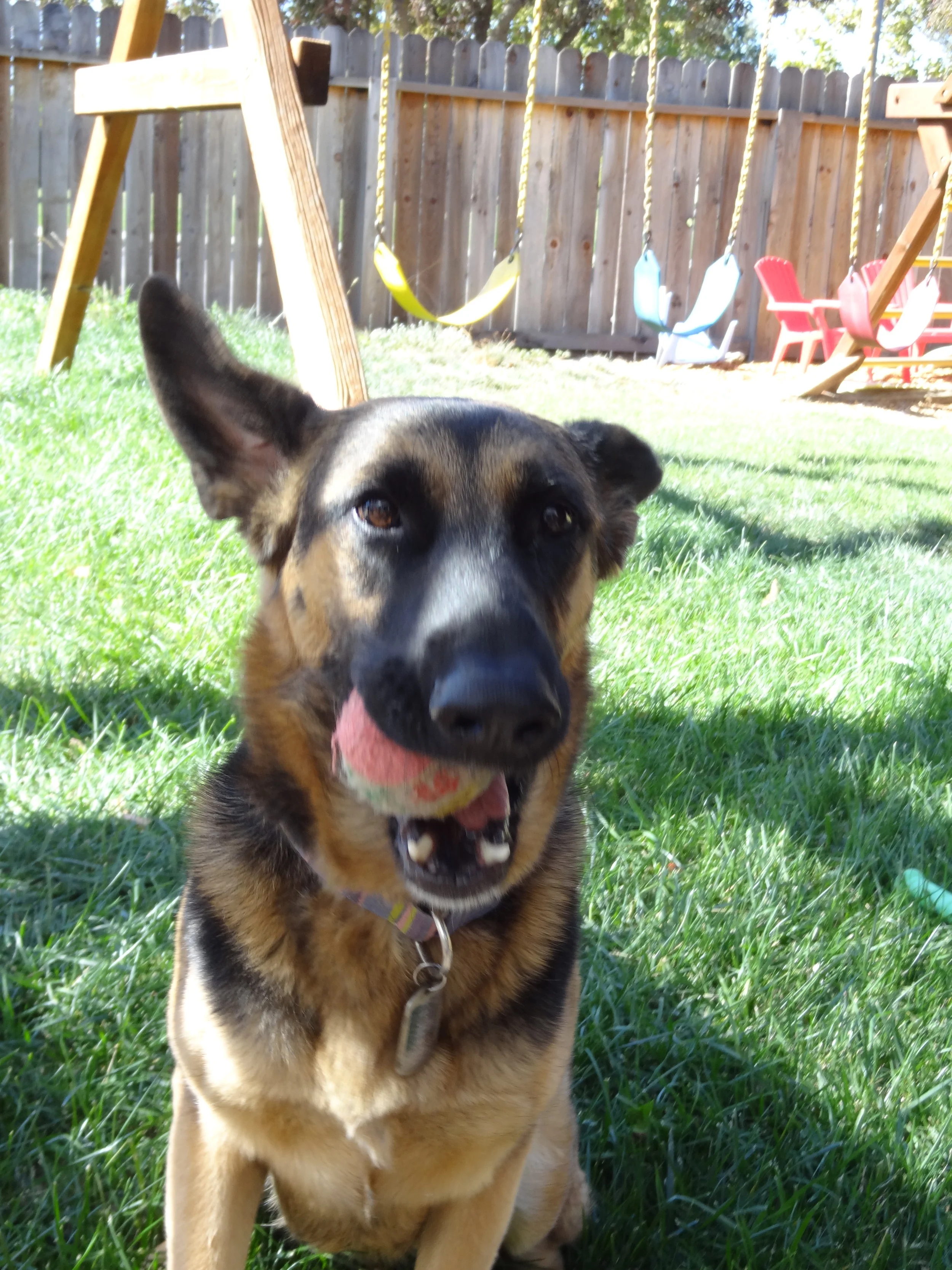 Kizzy 