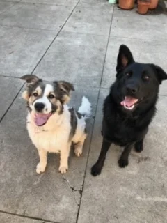 (Courtesy Post): Sky