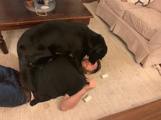image5.jpeg
