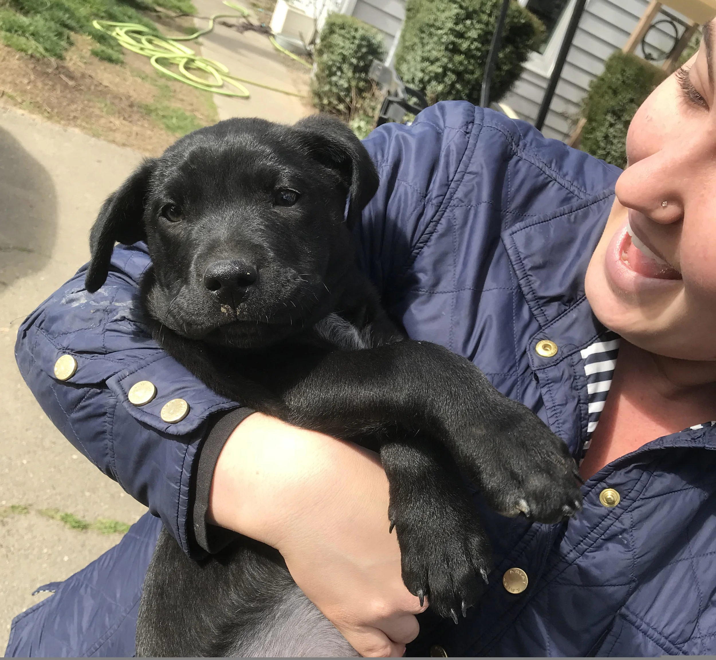 Puppy Charlie
