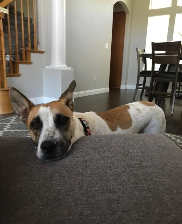 Keira