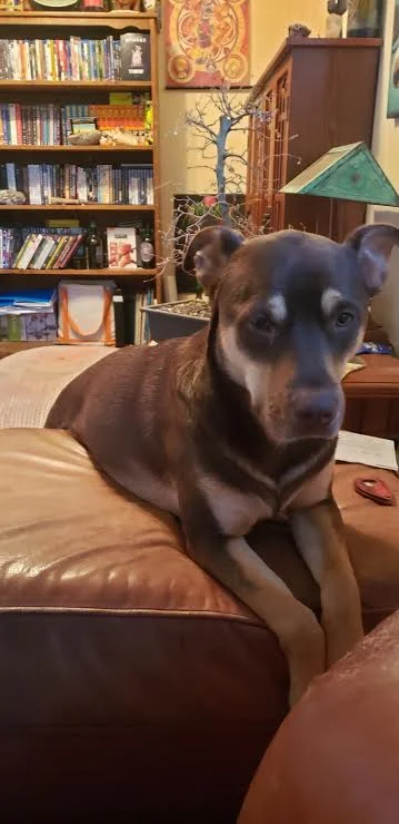 (Courtesy Post) Kenway 