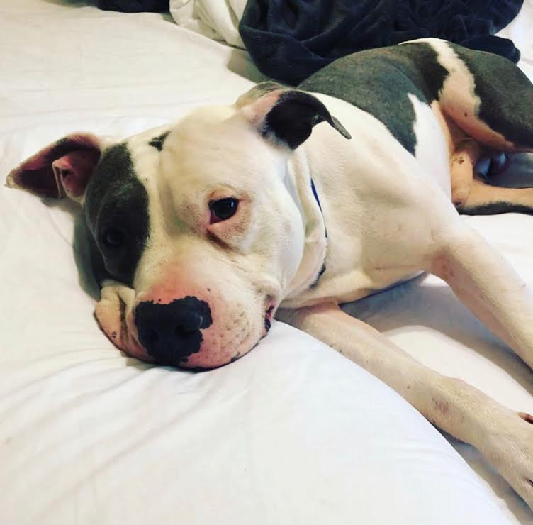 (Courtesy Post): Papa