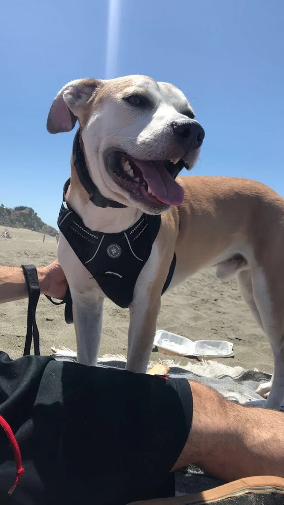 (Courtesy Post): Jaxx