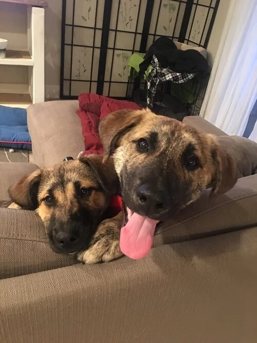 Luke & Leia