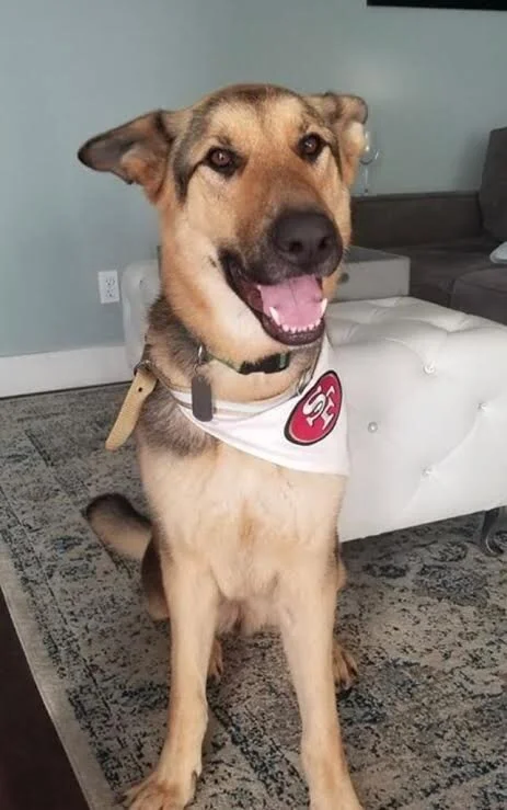 Leo