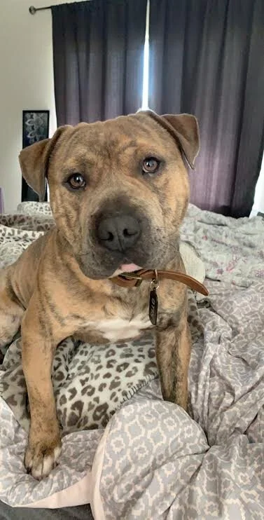 (Courtesy Post): Otis