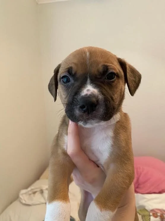 Emma's 8: Zoe