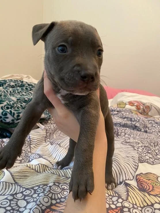 Emma's 8: Maggie