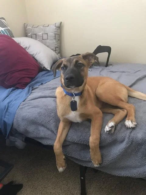 (Courtesy Post): Brody