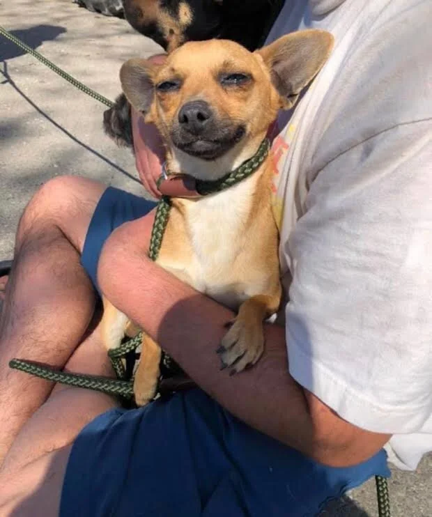 Tito