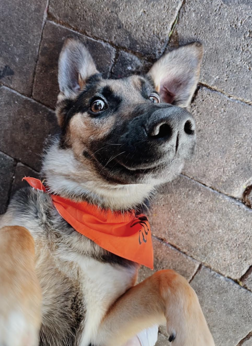 Screen Shot 2021-12-14 at 10.42.30 PM.png