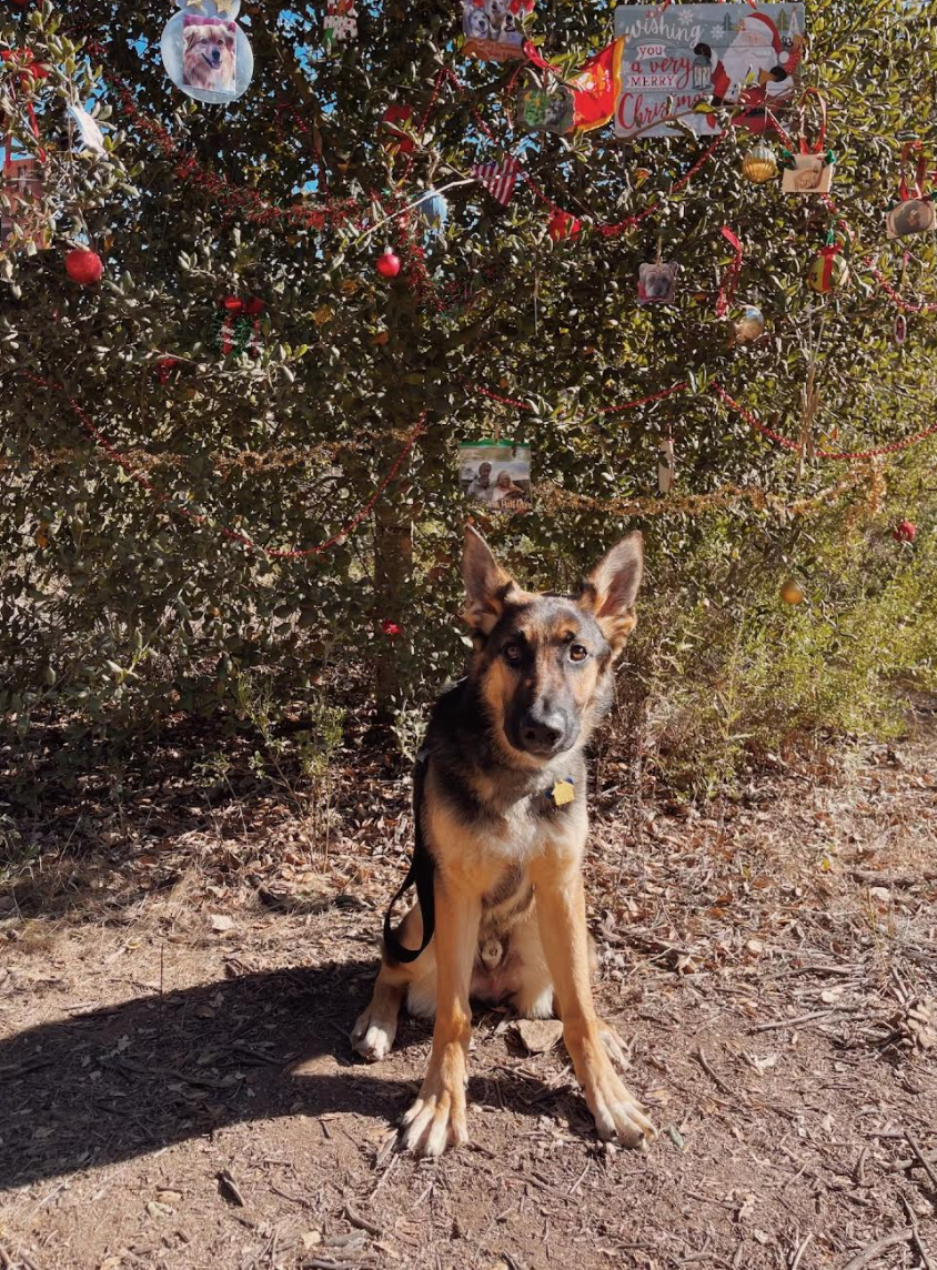 Screen Shot 2021-12-14 at 10.42.37 PM.png