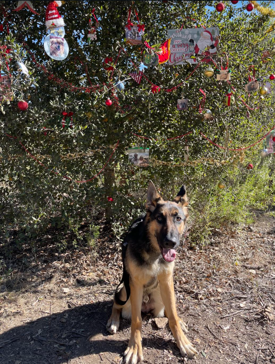 Screen Shot 2021-12-14 at 10.42.44 PM.png