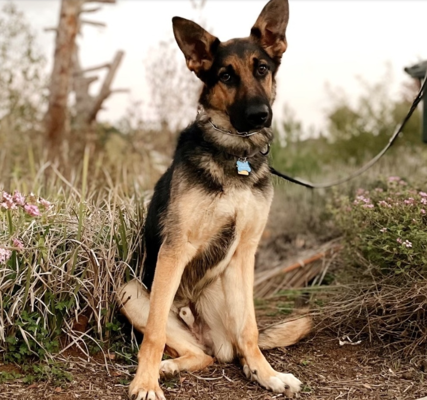 Screen Shot 2022-01-02 at 12.25.54 AM.png