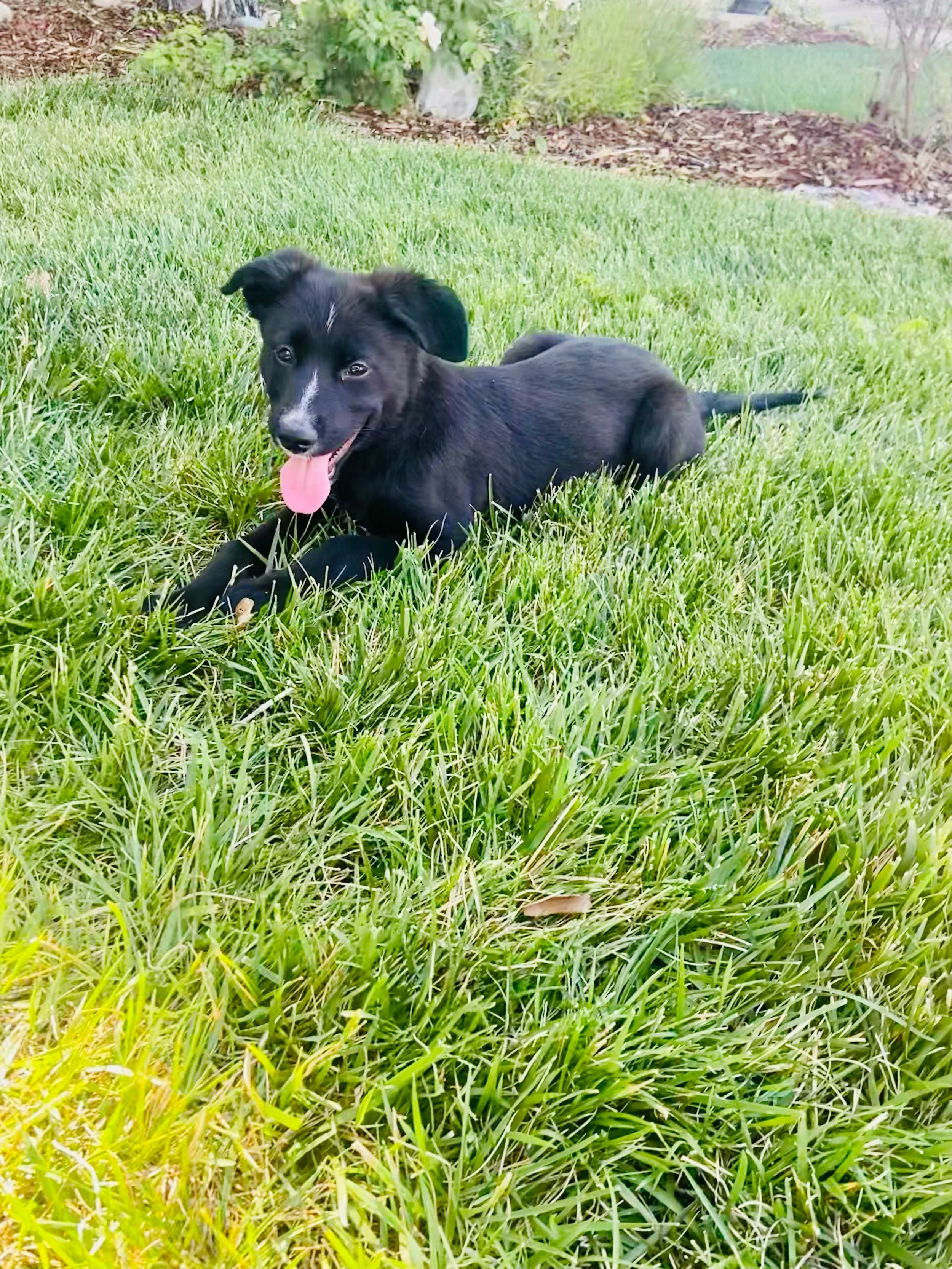 FullSizeRender 2.JPG