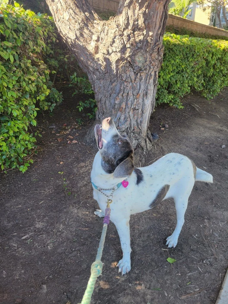 Resized_20231017_152339.JPEG