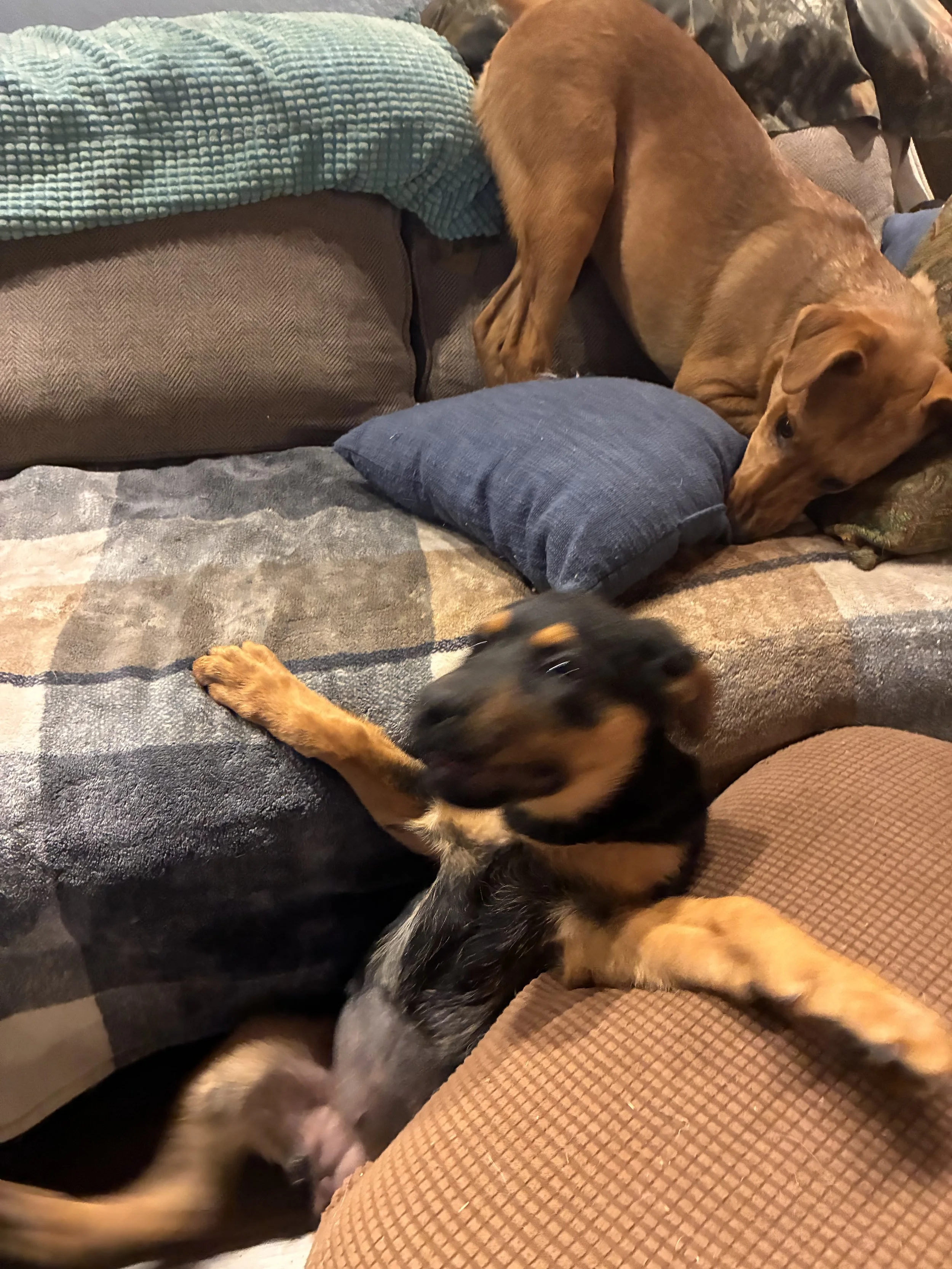IMG_1756.jpeg