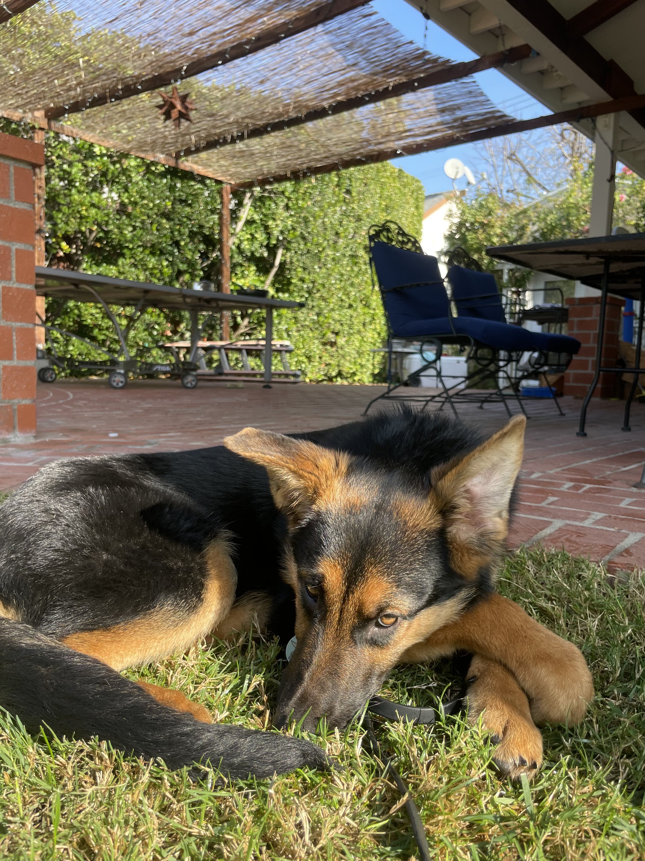 IMG_8581.jpeg