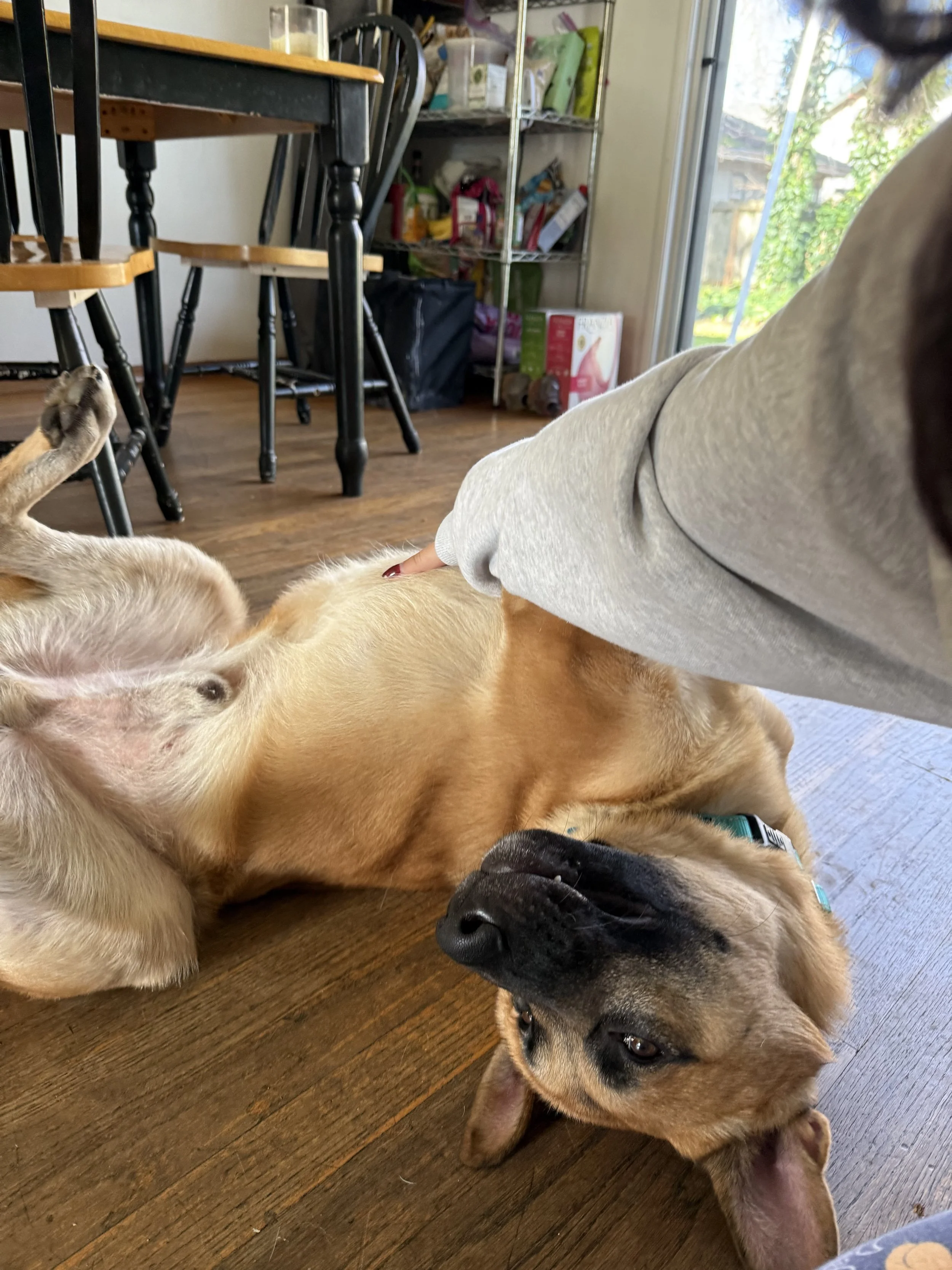 IMG_3443.jpeg