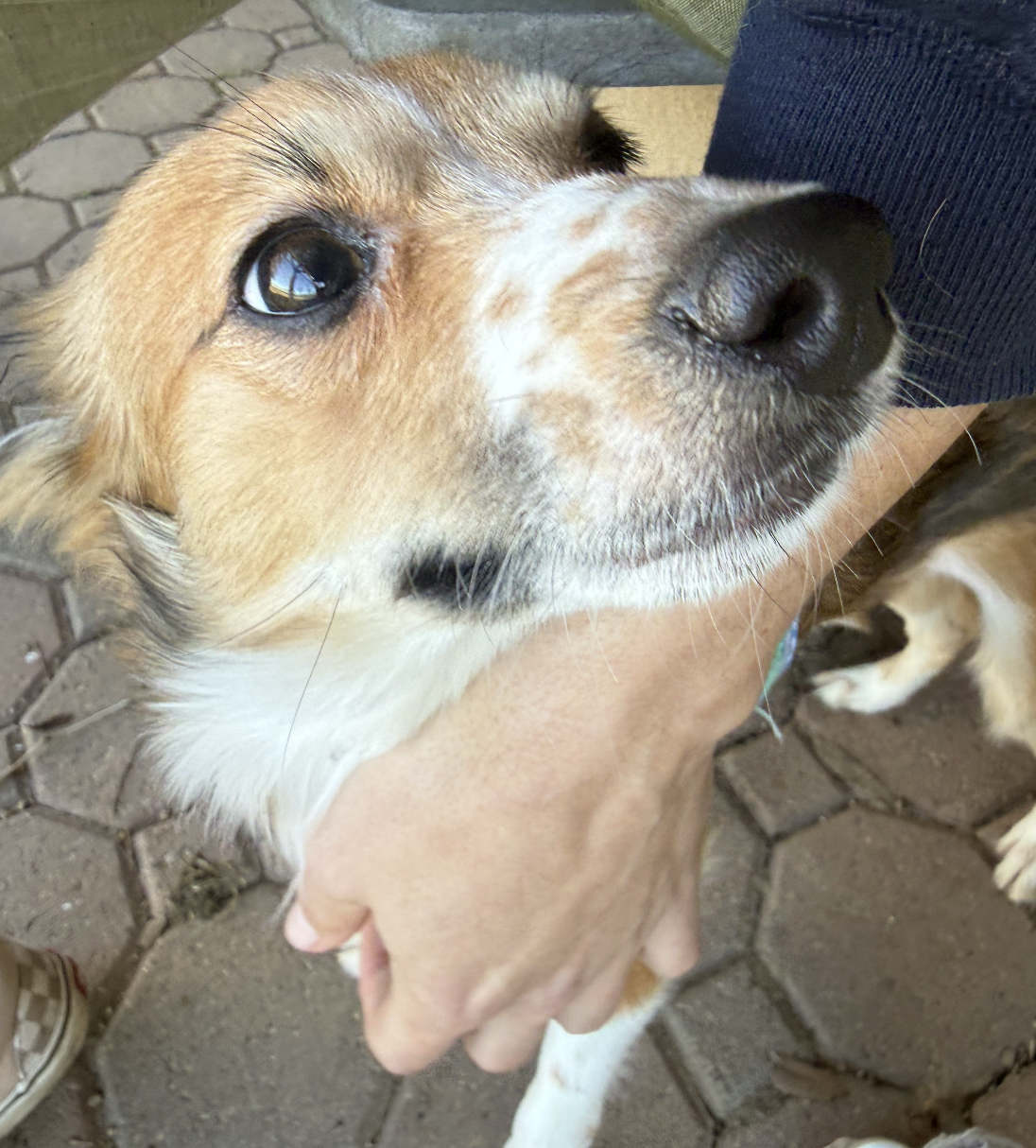 Screenshot 2026-02-13 at 10.52.20 PM.png