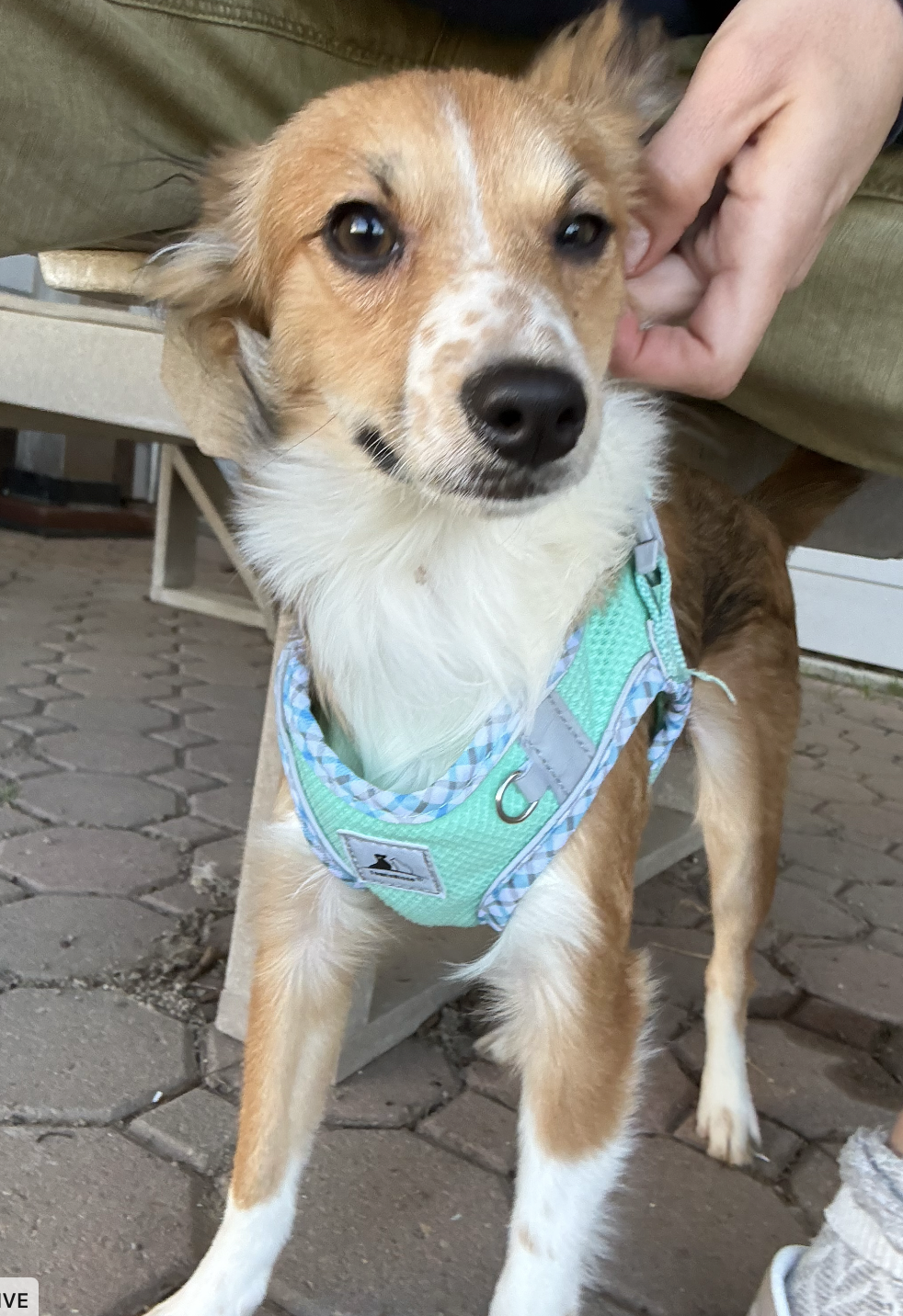 Screenshot 2026-02-13 at 10.52.07 PM.png