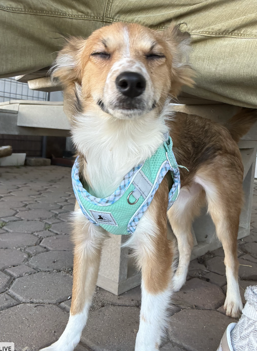 Screenshot 2026-02-13 at 10.52.02 PM.png