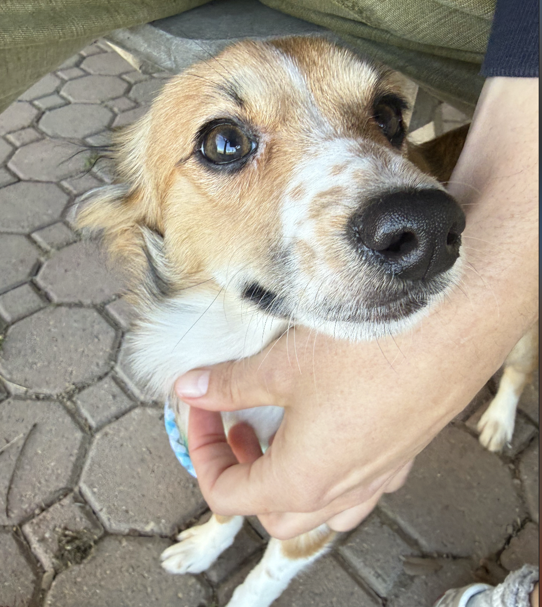 Screenshot 2026-02-13 at 10.52.13 PM.png