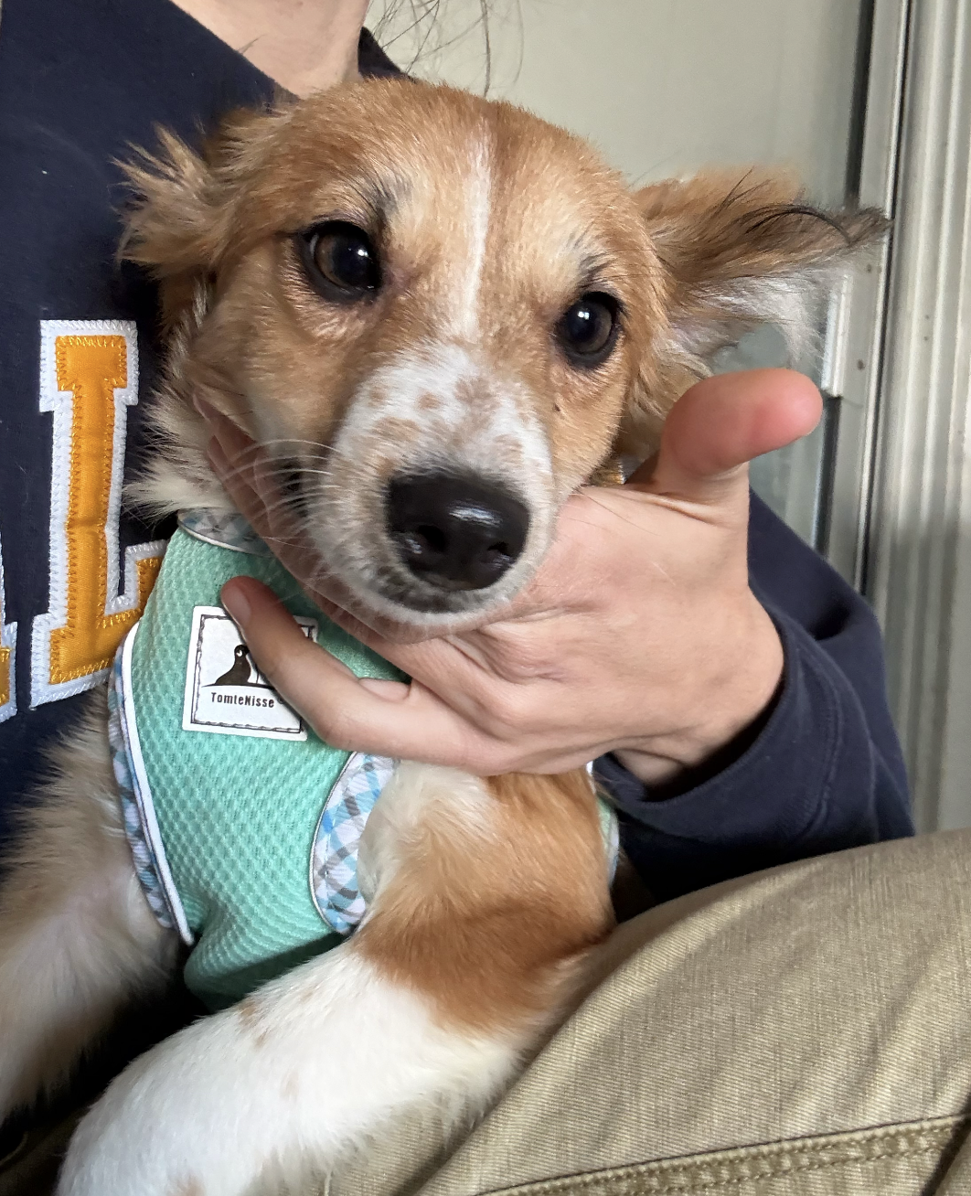 Screenshot 2026-02-13 at 10.52.26 PM.png